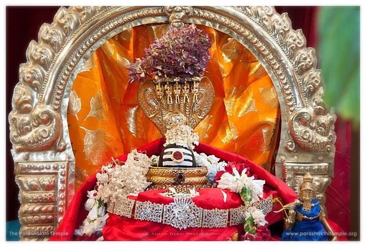 Purattasi Chathurdashi Sri Nataraja Swamy Abhishekam